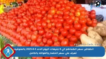 انخفاض سعر الطماطم إلى 8 جنيهات اليوم الأحد 3-8-2025 بالمنوفية.. تعرف على سعر الخضار والفواكه بالكامل
